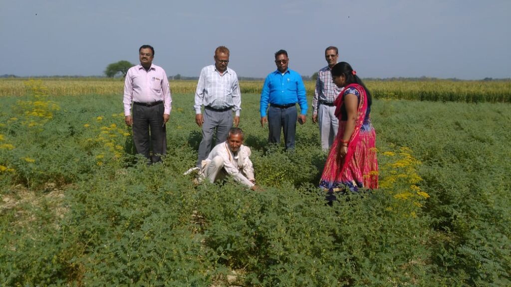 Case Story: Transforming Lives Through Pigeon Pea Farming