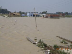Primary School Tiwari Tola
