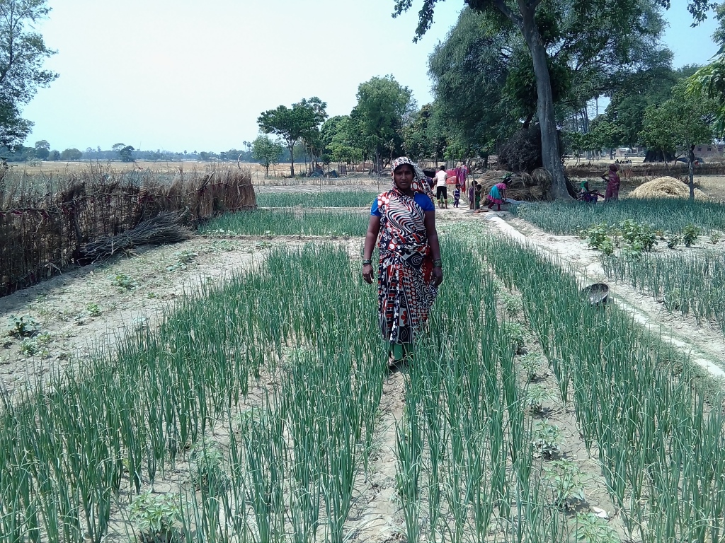 Sahana’s Success with Raised Bed Onion Farming: