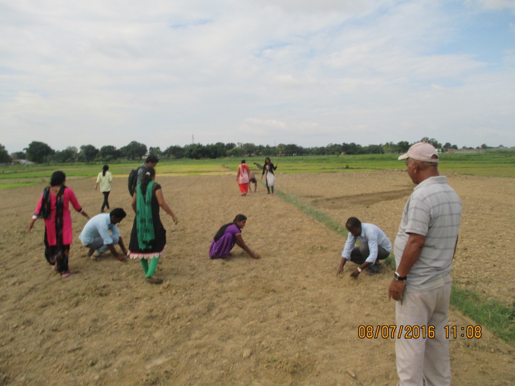 Kailashi’s Triumph: Transforming Livelihoods Through Line Sowing