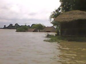 flood2